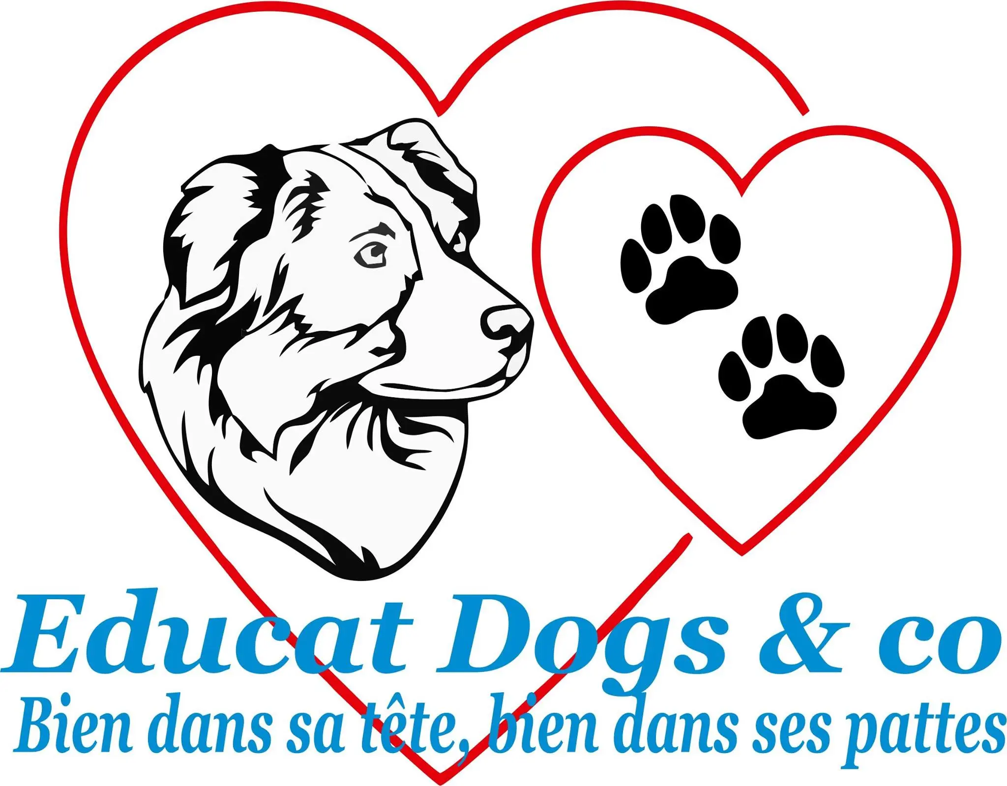 Educat Dogs & Co